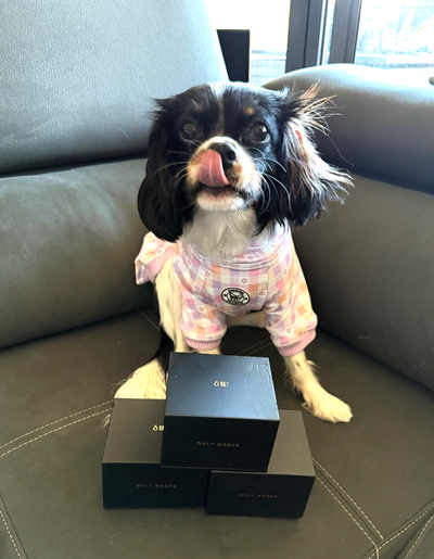 @miss_paris_the_cavalier